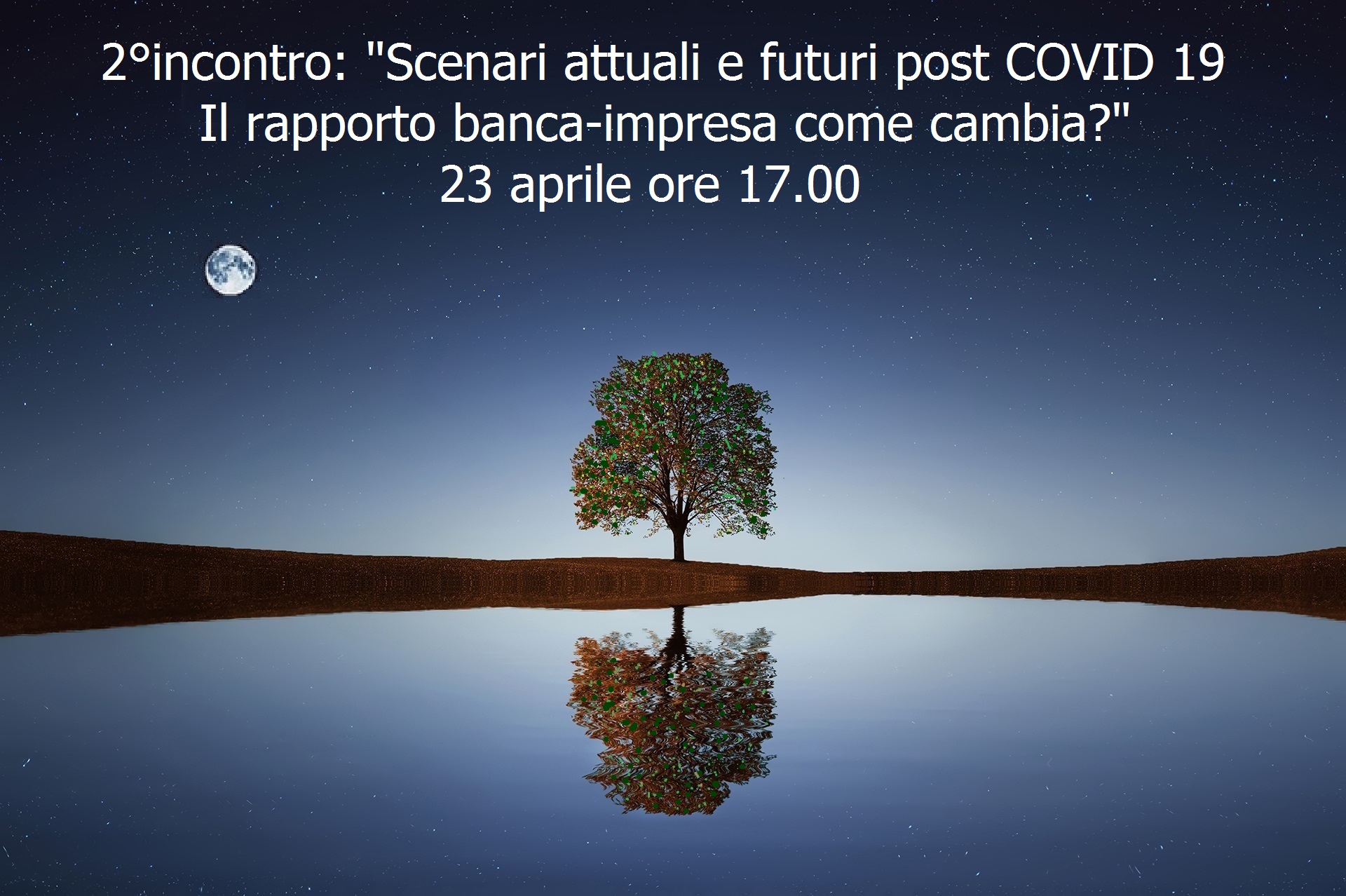 albero-2-incontro.jpg