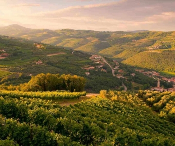 valpolicella.jpg