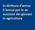Assunzioni dei giovani...