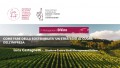 Giro di Vite: La sostenibilità nel settore vitivinicolo