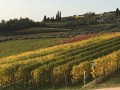 Sono un' Azienda Agricola