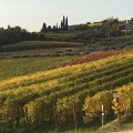 Sono un' Azienda Agricola