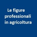 Figure professionali...